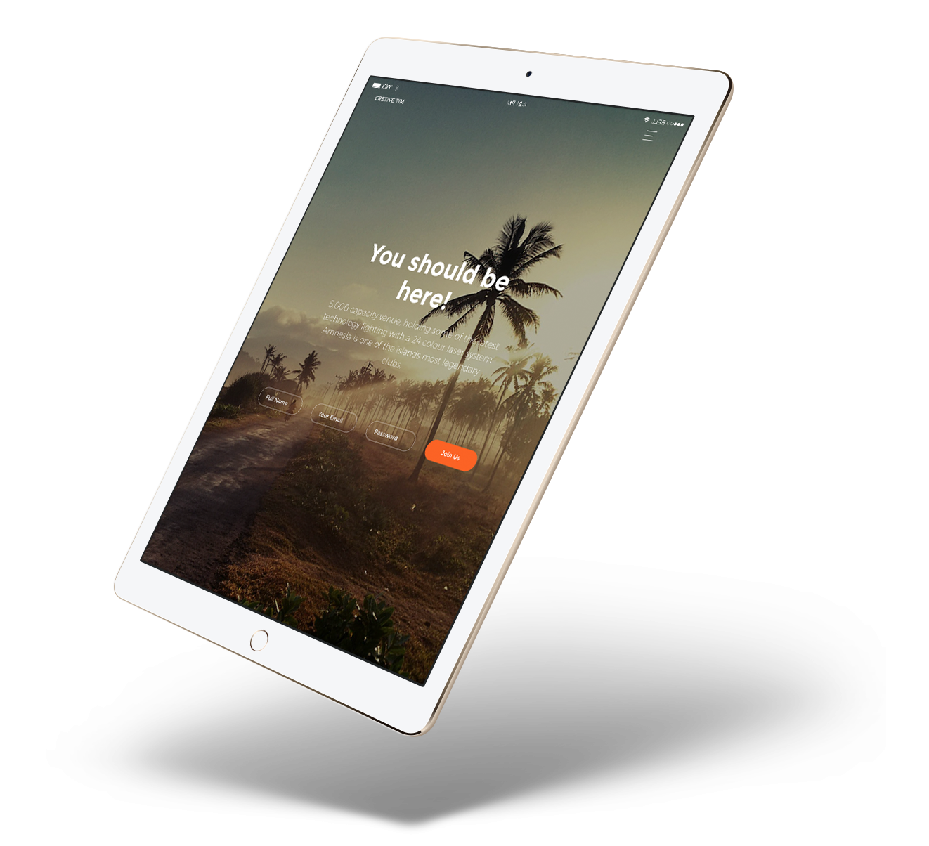 iPad interface